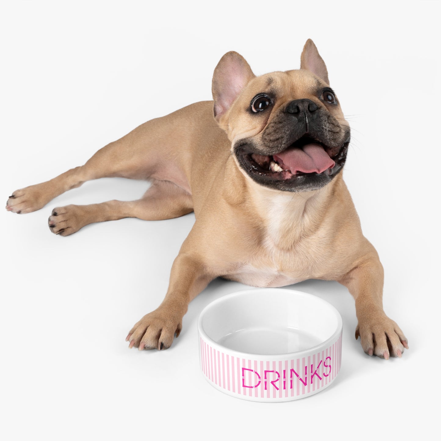 Drinks Pet Bowl (pink)