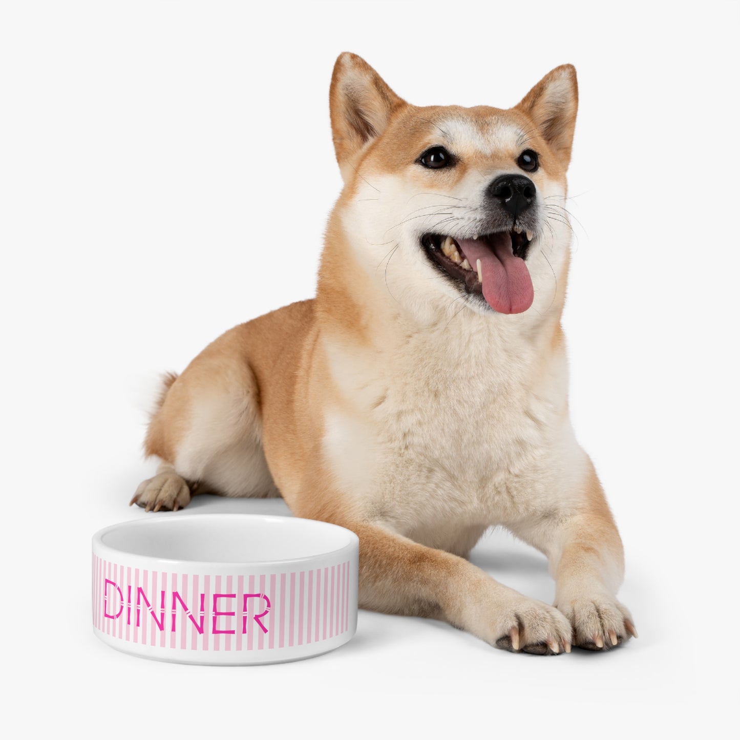 Dinner Pet Bowl (pink)