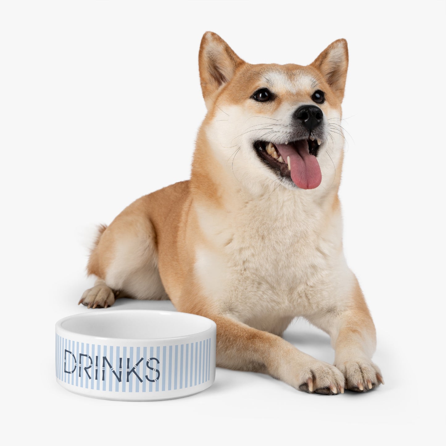 Drinks Pet Bowl (blue)